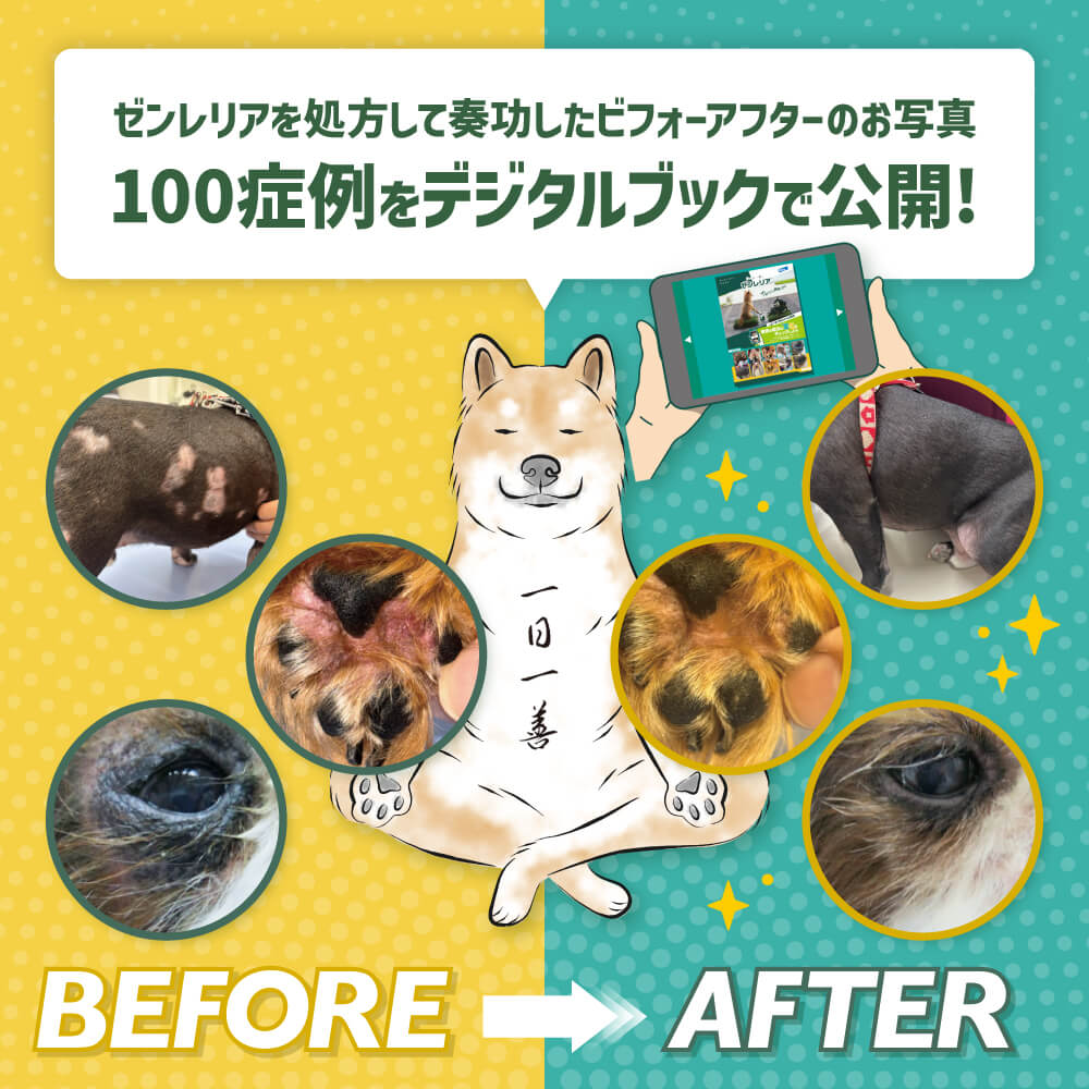 デジタルブック
