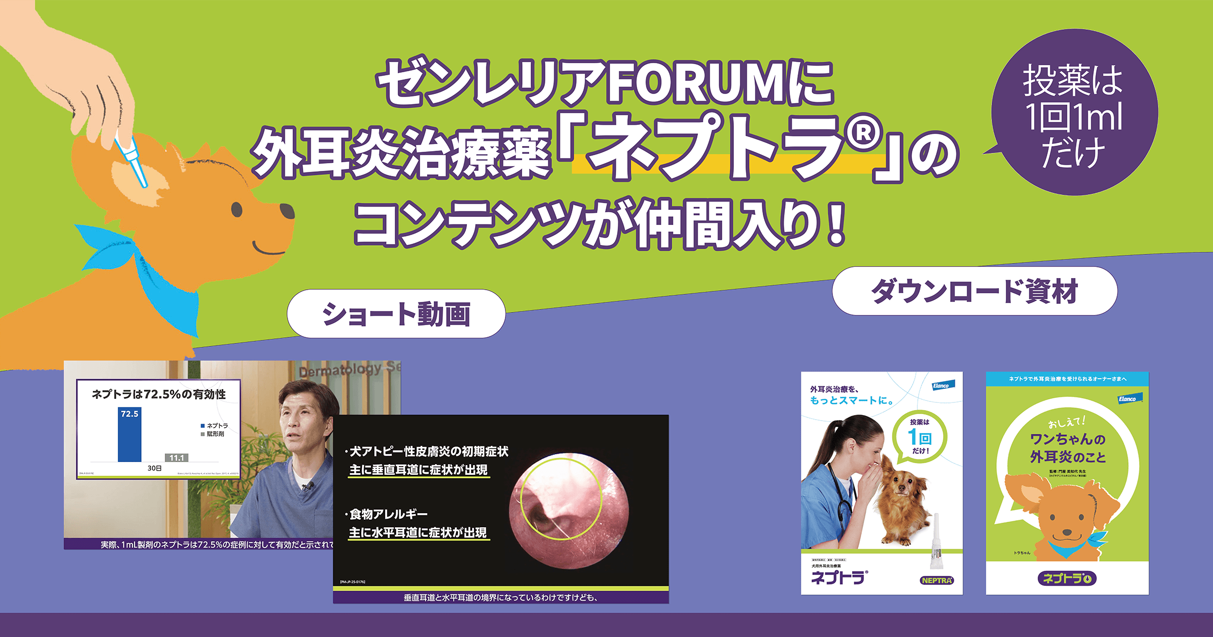 ネプトラ