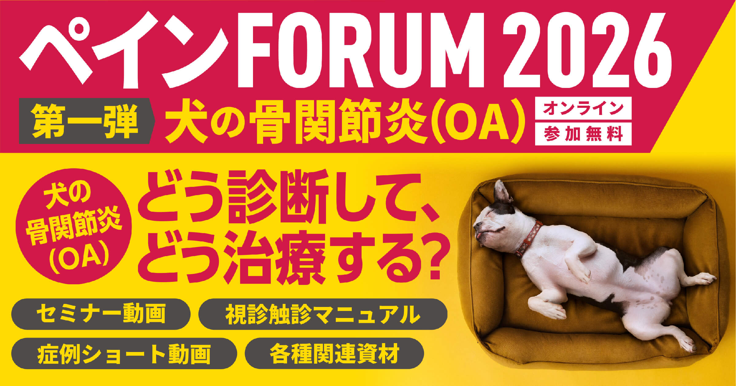 ペインFORUM