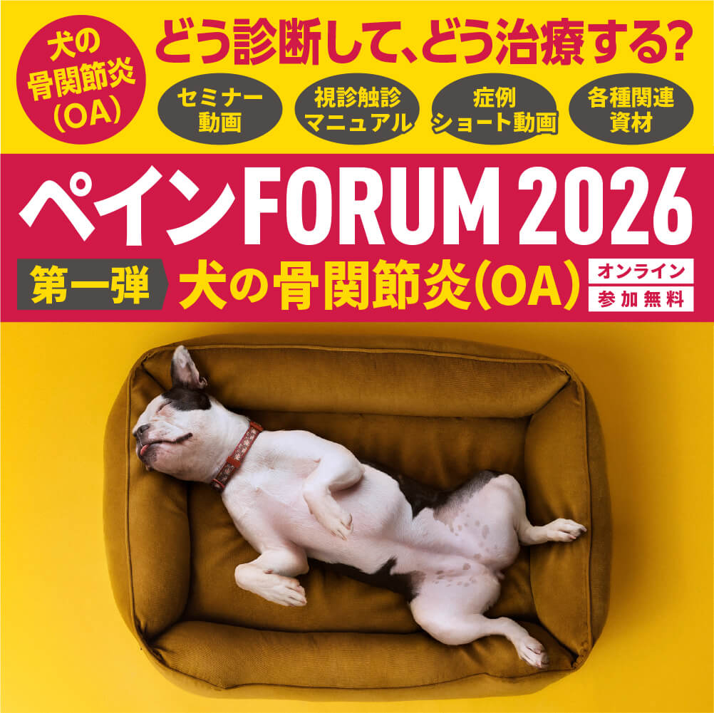 ペインFORUM